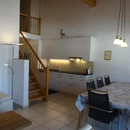 Abusunna Penthouse Apartment Riederalp