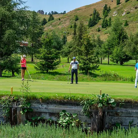 Abusunna Penthouse Apartment Riederalp